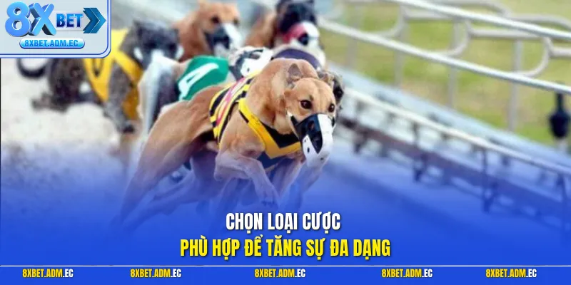 Chọn loại cược phù hợp để tăng sự đa dạng