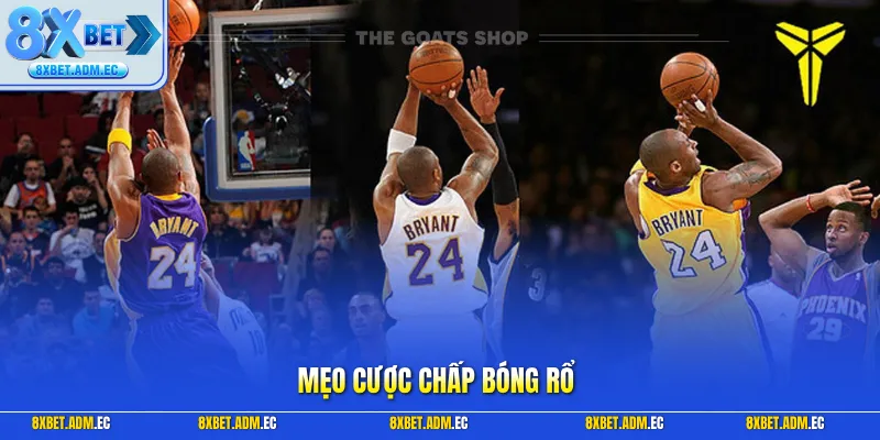 Mẹo cược chấp bóng rổ