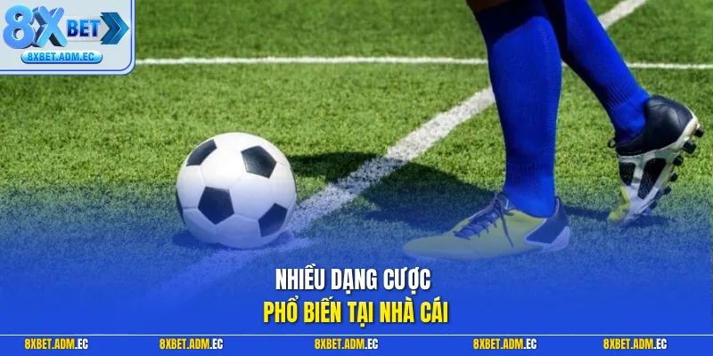 Nhiều dạng cược phổ biến tại nhà cái