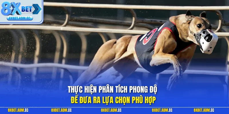Thực hiện phân tích phong độ để đưa ra lựa chọn phù hợp